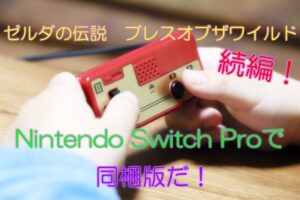 Nintendo Switch - Nintendo Switch プロコン 純正品 ティアーズオブザ